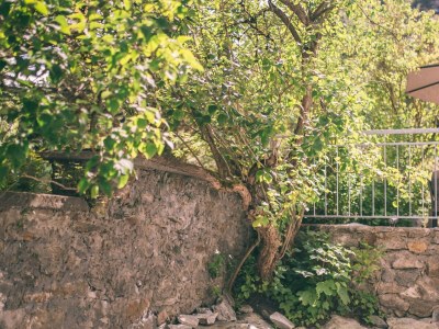 Apartment Suite, Dusche und Badewanne, Deluxe 110m2 - Outdoor photo 6