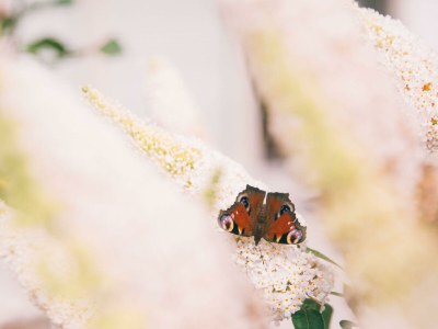 Apartment Suite, Dusche und Badewanne, Deluxe 110m2 - Outdoor photo 7