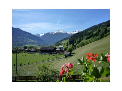 Apartment Doppelzimmer "Naturholz" mit DU, WC - Outdoor photo 8