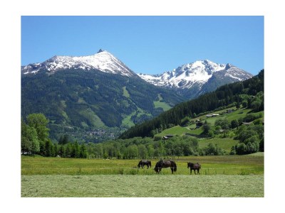 Apartment Doppelzimmer "Naturholz" mit DU, WC - Outdoor photo 13