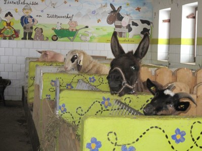 Apartment Doppelzimmer "Naturholz" mit DU, WC - Outdoor photo 14