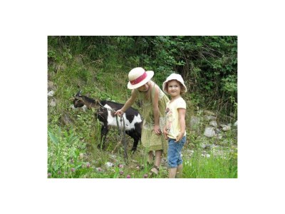 Apartment Doppelzimmer "Naturholz" mit DU, WC - Outdoor photo 17