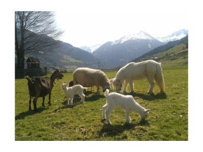 Apartment Doppelzimmer "Naturholz" mit DU, WC - Outdoor photo 18