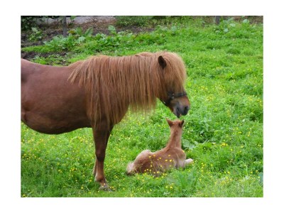 Apartment Doppelzimmer "Naturholz" mit DU, WC - Outdoor photo 23