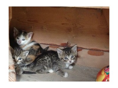 Apartment Doppelzimmer "Naturholz" mit DU, WC - Outdoor photo 25