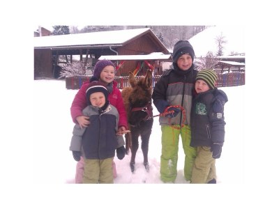 Apartment Doppelzimmer "Naturholz" mit DU, WC - Outdoor photo 27