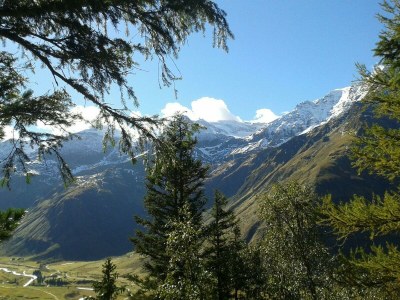 Apartment Doppelzimmer "Naturholz" mit DU, WC - Outdoor photo 34