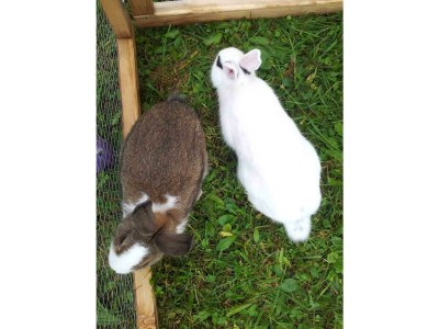 Apartment Studio (1 Wohn-Schlafraum) - Outdoor photo 9