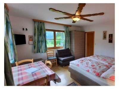 Apartment Studio (1 Wohn-Schlafraum) - Features photo 12