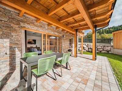 Apartment Dachstein West Apartment Top 1A in Russbach - Apartment