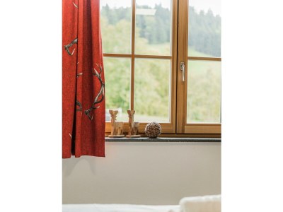 Apartment Dachstein West Apartment Top 1A - Outdoor photo 36