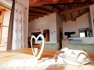 Apartment Dachstein Chalet Haus B - Features photo 43