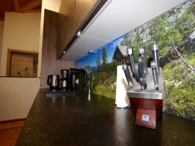 Apartment Dachstein Chalet Haus B - Features photo 51