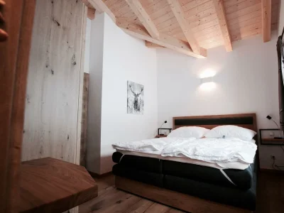 Apartment Dachstein Chalet Haus B - Features photo 60