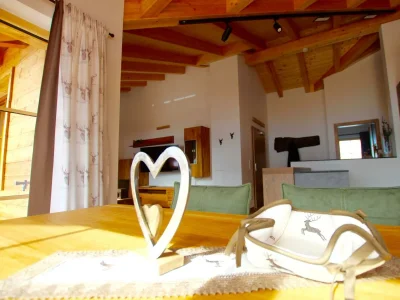 Apartment Dachstein Chalet Haus B - Features photo 88