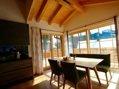 Apartment Dachstein Chalet Haus B - Features photo 89