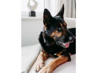 Apartment Fjell Apart - Outdoor photo 19