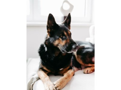 Apartment Fjell Apart - Features photo 34