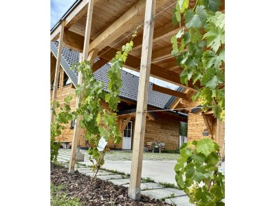 Apartment My Holzhaus - Outdoor photo 7