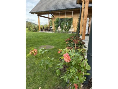 Apartment My Holzhaus - Outdoor photo 8