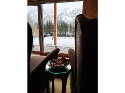 Apartment My Holzhaus - Outdoor photo 31