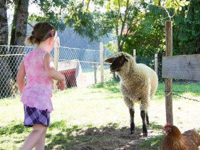 Apartment Reisslerhof 4er-Apartment - Outdoor photo 31
