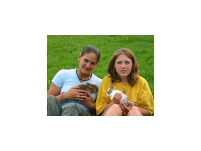 Apartment Reisslerhof 4er-Apartment - Outdoor photo 35