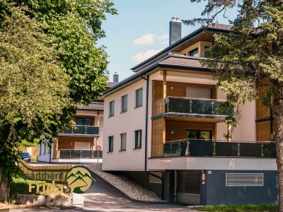 Apartment Apartment Frida, 2 Schlafräume in Gröbming - Apartment