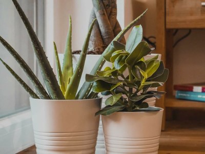 Apartment Apartment Frida, 2 Schlafräume - Outdoor photo 40