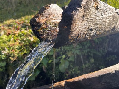 Apartment Apartment Landhaus Stieglschuster - Outdoor photo 7