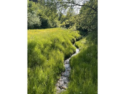 Apartment Apartment Landhaus Stieglschuster - Outdoor photo 9