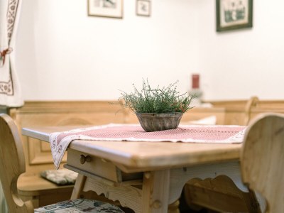 Apartment Apartment Landhaus Stieglschuster - Features photo 25