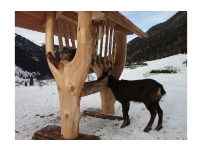 Apartment Appartement/Fewo, Dusche, WC - Outdoor photo 8