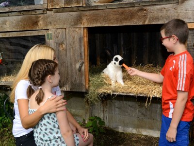 Apartment Appartement "Schwalbennest" 1-2 Nächte - Outdoor photo 19