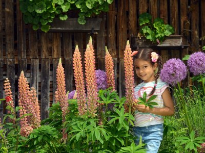 Apartment Appartement "Schwalbennest" 1-2 Nächte - Outdoor photo 22