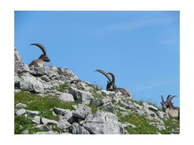 Apartment Ferienhütte - Outdoor photo 17