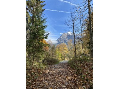 Apartment Ferienwohnung Urslau - Outdoor photo 8