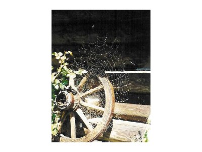 Apartment Apartment/1 Schlafraum/Dusche, WC - Outdoor photo 21