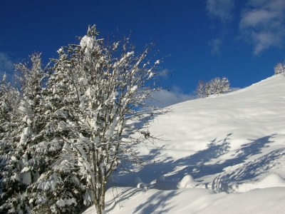 Apartment Apartment/1 Schlafraum/Dusche, WC - Outdoor photo 39