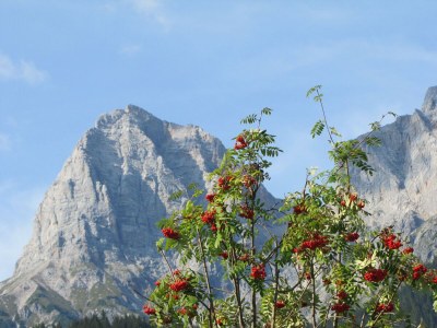 Apartment Apartment/1 Schlafraum/Dusche, WC - Outdoor photo 42