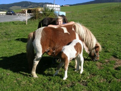 Apartment Hochkönigblick - Outdoor photo 11