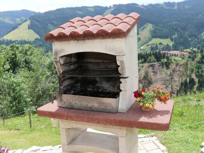 Apartment Apartment Hochkönig 3 Schlafzimmer ,2 Dusche /WC - Outdoor photo 14