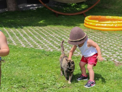 Apartment Apartment Hochkönig 3 Schlafzimmer ,2 Dusche /WC - Outdoor photo 18