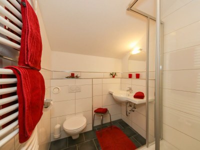 Apartment Apartment Hochkönig 3 Schlafzimmer ,2 Dusche /WC - Features photo 27
