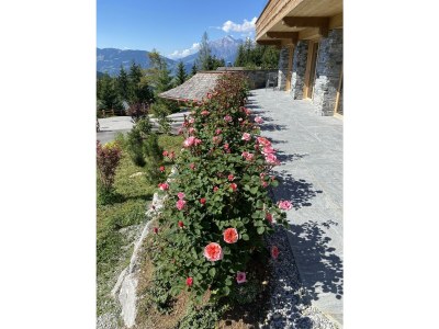 Apartment Appartement/Fewo, Toilette und Bad/Dusche getrennt - Outdoor photo 7