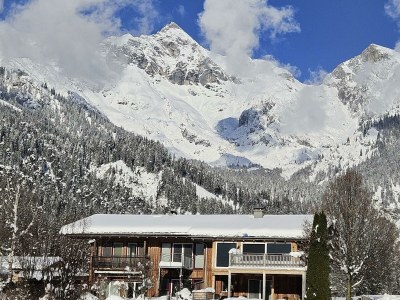 Apartment Chalet Steinernes Meer in Maria Alm - Apartment