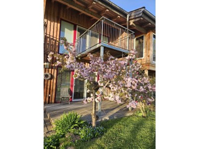 Apartment Chalet Steinernes Meer - Outdoor photo 8