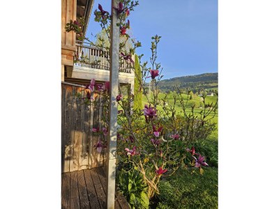 Apartment Chalet Steinernes Meer - Outdoor photo 26