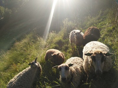 Apartment Appartement "Fine and Fancy" - Outdoor photo 13