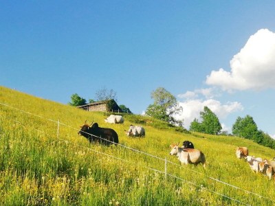 Apartment Appartement "Fine and Fancy" - Outdoor photo 14